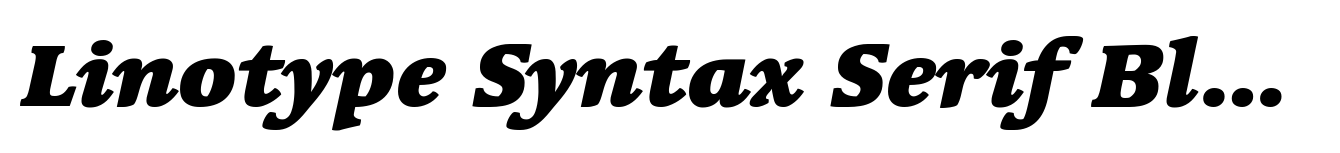 Linotype Syntax Serif Black Italic OsF image